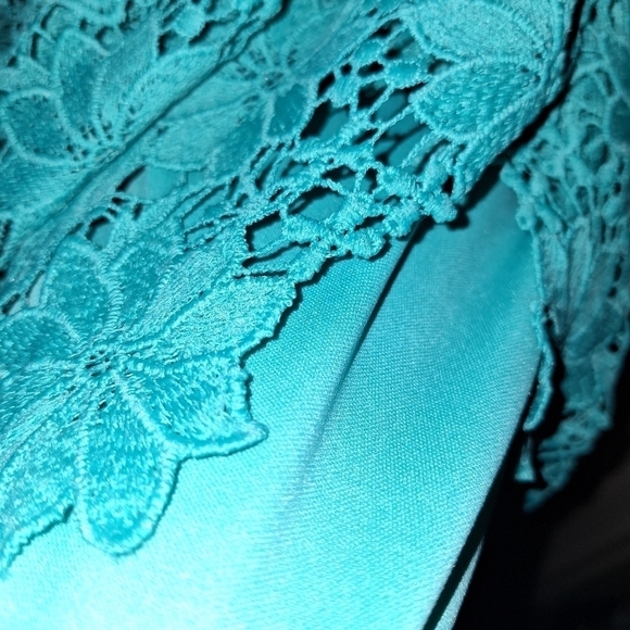 Bisou Bisou lace floral dress size 2 - Picture 4 of 5